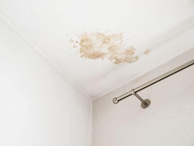 About Green Water Damage  Mold Expert - water damage restoration service experts in Cypress